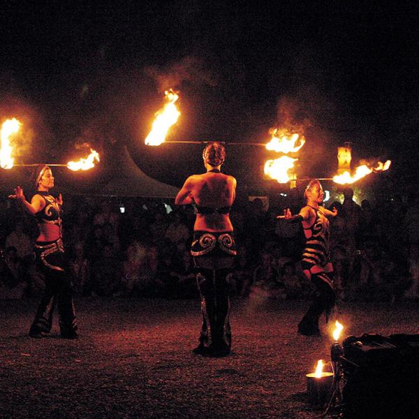 Singing Woodford festival's praises ... and that's not all, folks
