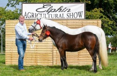 Elphin Agricultural Show