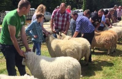 Ballyvourney-Coolea Agricultural Show