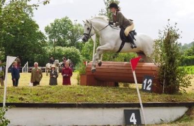 Ballinalee Connemara Pony Show