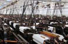 Queen Street Mill Textile Museum (HE) - Burnley
