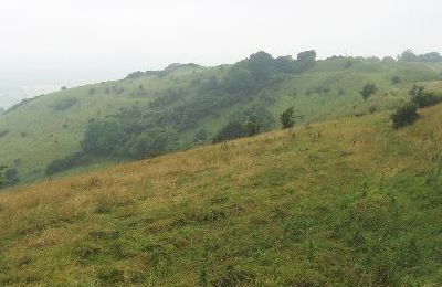 Rawlsbury Camp, (HE)