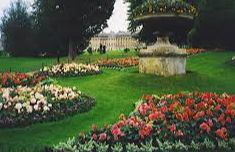 Royal Victoria Park - Bath Royal Victoria Park - Bath