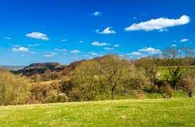 Sundon Hills Country Park, (NT) Sundon Hills Country Park, (NT)