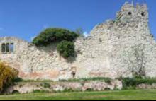 Wallingford Castle ruins - (HE)
