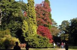 Westonbirt, The National Arboretum (HE)