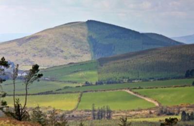 Annagh Hill (Marilyn) - Wexford