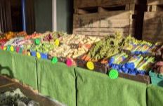 Ballymun Farmers Market