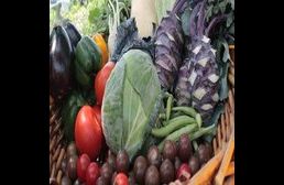 Birr Farmers Market