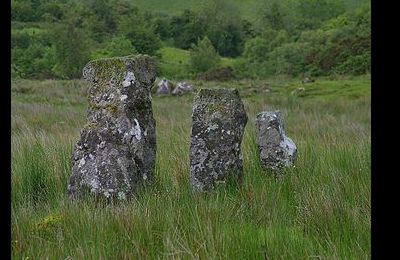 Drumskinny Stone Circle - Kesh