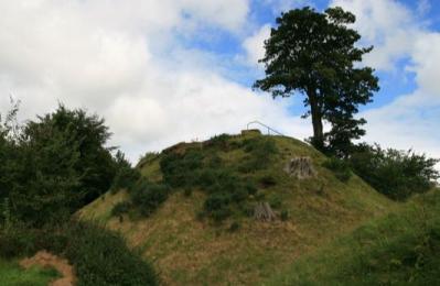 Harryville Motte - Ballymena