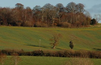 Lisnagade Fort - Banbridge