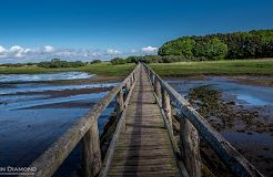 Aberlady Bay Nature Reserve