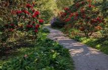 Achamore Gardens