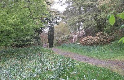 Achnacloich Gardens