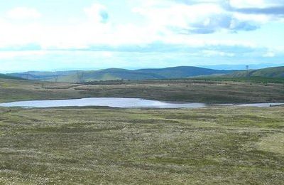 Aldinna Loch - Rowantree