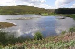 Alemoor Loch - Hawick