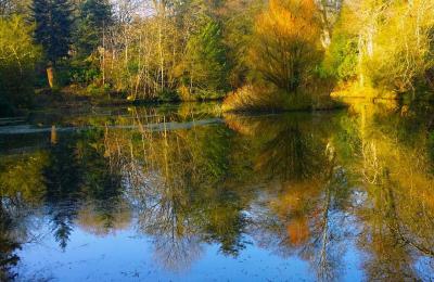 Arbigland Gardens - Kirkbean