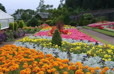 Ardencraig Gardens - Rothesay