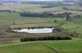 Ardgarth Loch - Coupar Angus