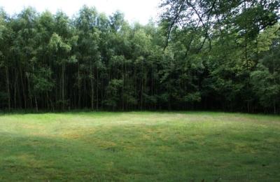 Ardunie Roman Signal Station, (HES) - Auchterarder