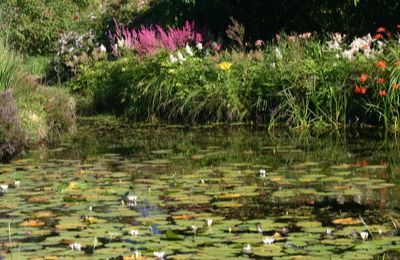 Ardwell House Gardens - Stranraer