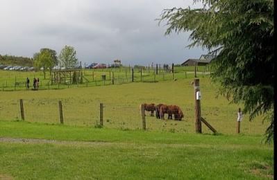 Auchingarrich Wildlife Centre - Comrie