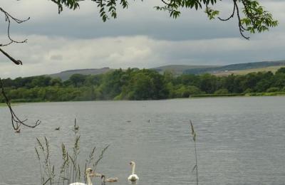 Balgavies Loch - Forfar