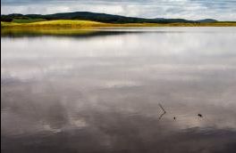 Bargatton Loch - Kirkcudbright