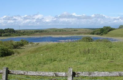 Barhapple Loch - Glenluce