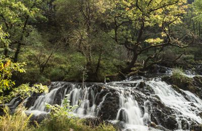 Barnaline Walks - Argyll