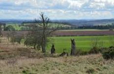 Battle of Ancrum Moor - 1545