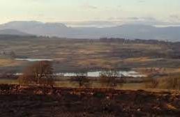 Battle of Sheriffmuir - 1715