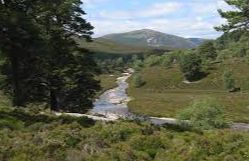 Beinn Bhreac - Braemar