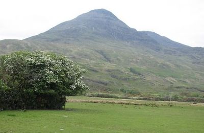 Ben Buie - Isle of Mull