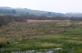 Black Loch - Cumnock