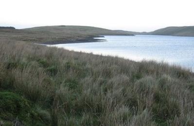 Black Loch - Newton Mearns