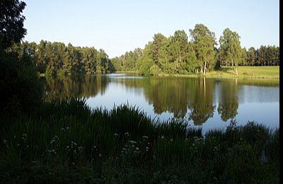 Black Loch - Blairgowrie