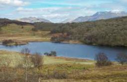 Black Lochs - Connel