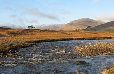 Black Mount - Bridge of Orchy