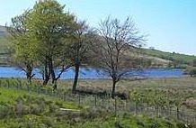 Bogton Loch - Dalmellington