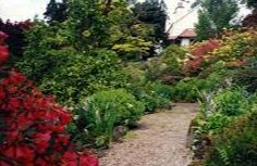 Branklynn Garden, (NTS) - Perth