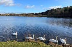 Broadwood Loch - Cumbernauld