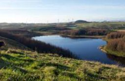 Brother Loch - Newton Mearns