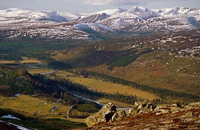 Cairngorm Mountains