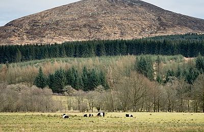 Cairnsmore of Fleet - Newton Stewart