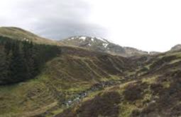 Carn Gorm - Aberfeldy