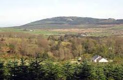 Carrick Hills