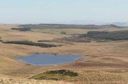 Clearburn Loch - Selkirk