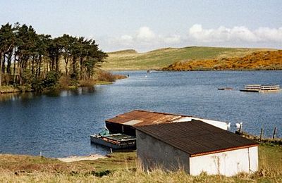 Coldingham Loch - Coldingham